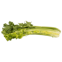 Unknown Celery Half ea