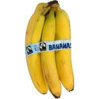 Unknown Organic Fairtrade Bananas ea